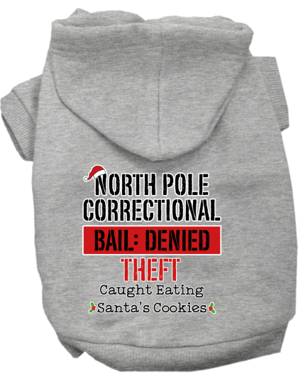North Pole Correctional Screen Print Dog Hoodie Grey Size XS