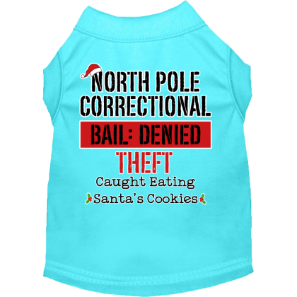 North Pole Correctional Screen Print Dog Shirt Aqua Size XS