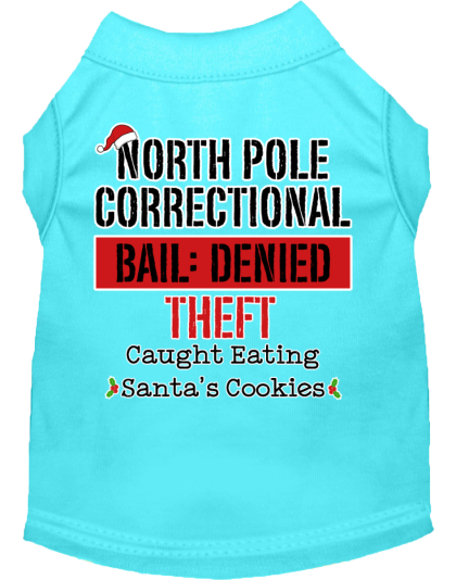 North Pole Correctional Screen Print Dog Shirt Aqua Size XS