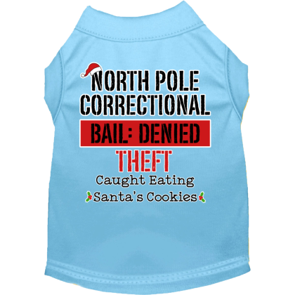 North Pole Correctional Screen Print Dog Shirt Baby Blue Size XS