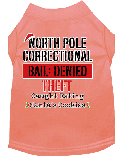 North Pole Correctional Screen Print Dog Shirt Peach Size XS
