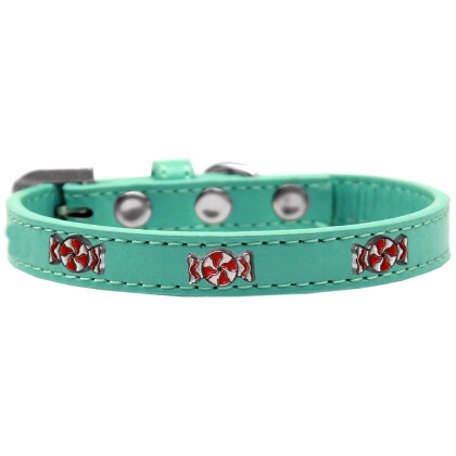 Peppermint Widget Dog Collar Aqua Size 10