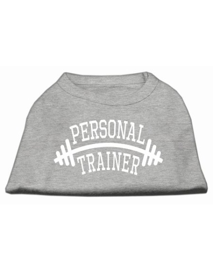 Personal Trainer Screen Print Shirt Grey Lg