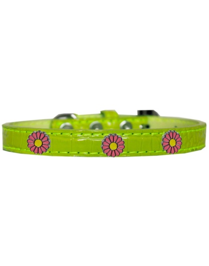 Pink Daisy Widget Croc Dog Collar Lime Green Size 10