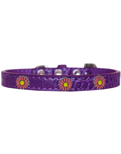 Pink Daisy Widget Croc Dog Collar Purple Size 10