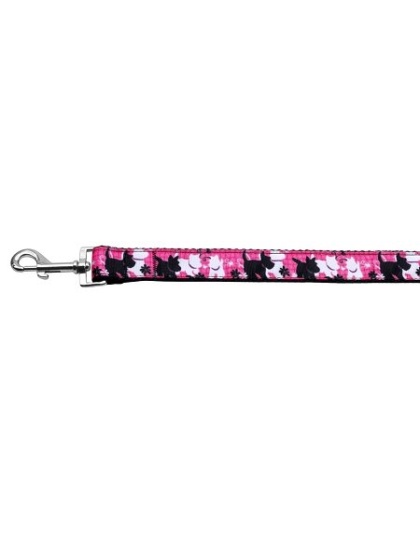 Plaid Pups Nylon Ribbon Collars 1 wide 4ft Leash