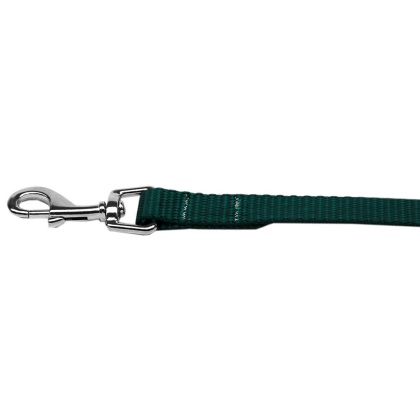 Plain Nylon Pet Leash 1in by 4ft Green