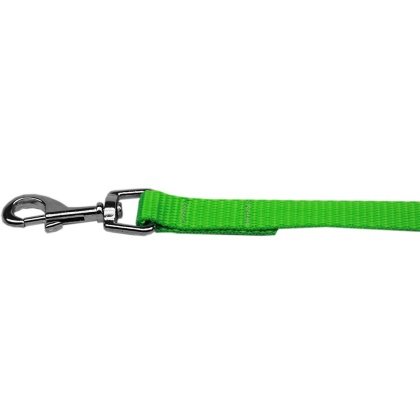 Plain Nylon Pet Leash 1in by 4ft Hot Lime Green