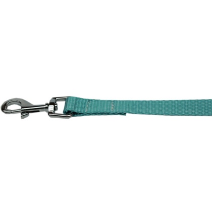 Plain Nylon Pet Leash 1in by 4ft Ocean Blue