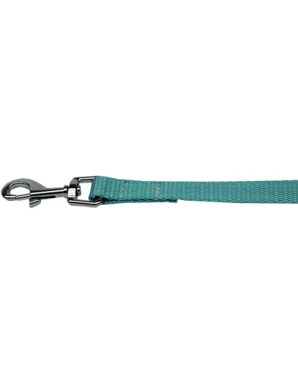 Plain Nylon Pet Leash 1in by 4ft Ocean Blue