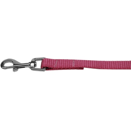 Plain Nylon Pet Leash 1in by 4ft Rose