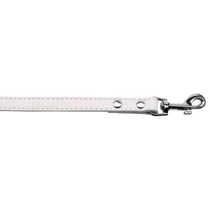 Premium plain pet leash 1/2" wide x 4' long White