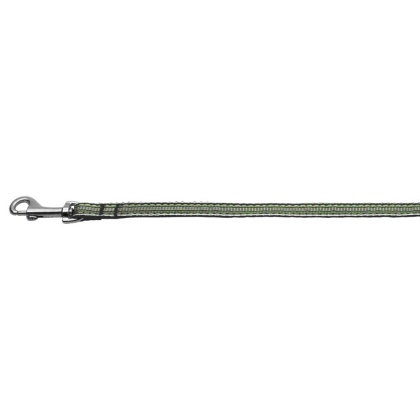 Preppy Stripes Nylon Ribbon Collars Green/White 3/8 wide 4Ft Lsh