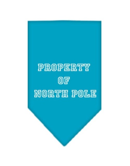 Property of North Pole Screen Print Bandana Turquoise Large