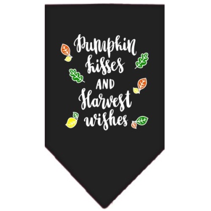 Pumpkin Kisses Screen Print Bandana Black Large