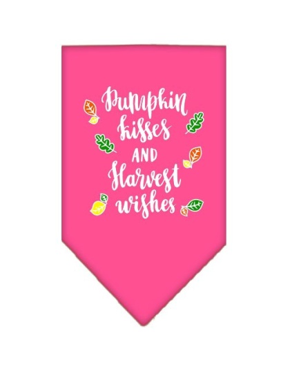 Pumpkin Kisses Screen Print Bandana Bright Pink Large