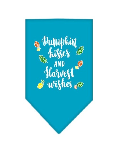 Pumpkin Kisses Screen Print Bandana Turquoise Large