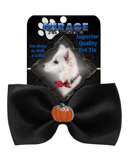 Pumpkin Widget Pet Bowtie Black