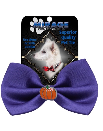 Pumpkin Widget Pet Bowtie Purple