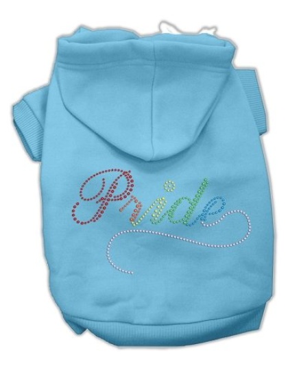 Rainbow Colored Pride Hoodies Baby Blue L