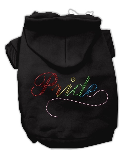 Rainbow Colored Pride Hoodies Black L