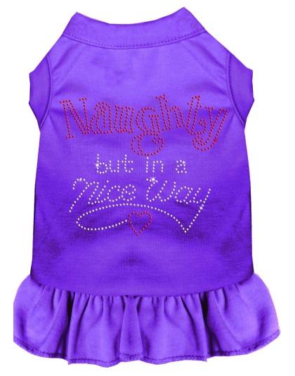 Rhinestone Naughty but in a nice way Dress Purple 4X