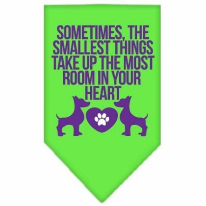 Smallest Things Screen Print Bandana Lime Green Large