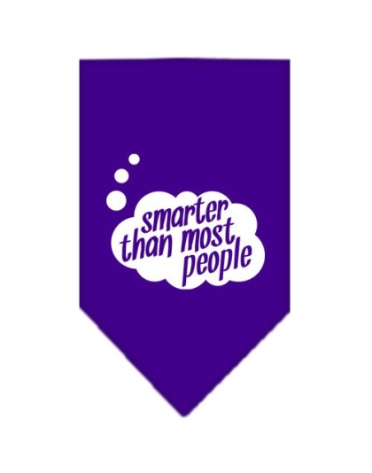 Smarter then most People Screen Print Bandana Purple Large