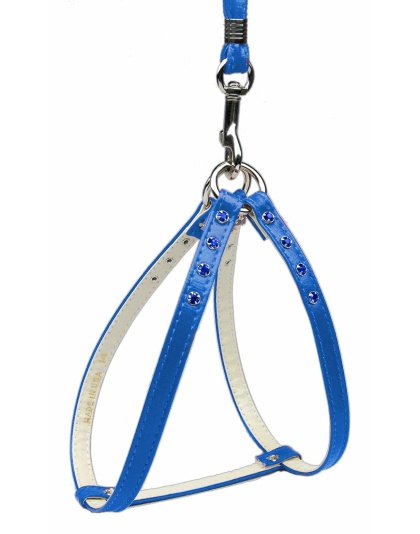 Step-In Harness Blue w/ Blue Stones 10