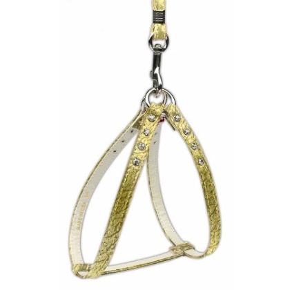 Step-In Harness Gold w/ AB Stones 10