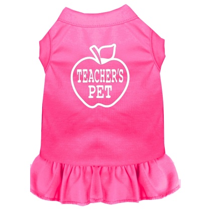 Teachers Pet Screen Print Dress Bright Pink 4X (22)