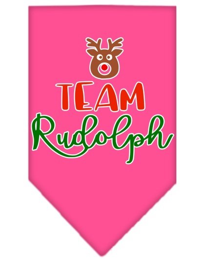 Team Rudolph Screen Print Bandana Bright Pink Large