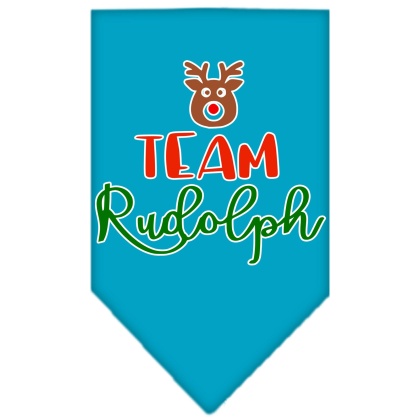 Team Rudolph Screen Print Bandana Turquoise Large