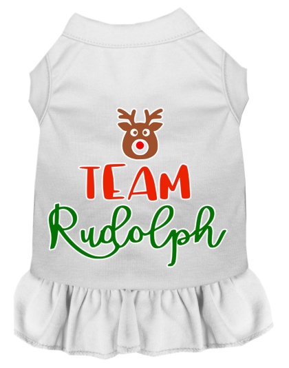 Team Rudolph Screen Print Dog Dress White 4X