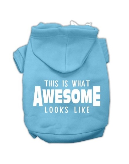 This is What Awesome Looks Like Dog Pet Hoodies Baby Blue Size Lg