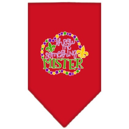 Throw me Something Screen Print Mardi Gras Bandana Red Large