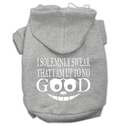 Up to No Good Screen Print Pet Hoodies Grey Size Lg