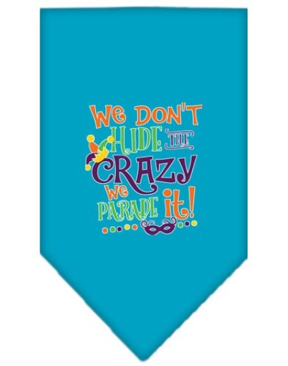 We Don't Hide the Crazy Screen Print Mardi Gras Bandana Turquoise Large