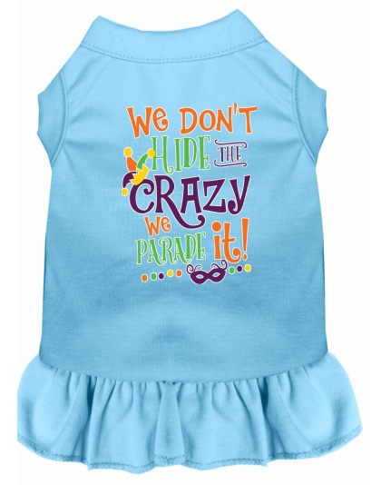 We Don't Hide the Crazy Screen Print Mardi Gras Dog Dress Baby Blue 4X