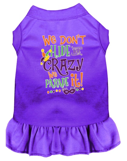 We Don't Hide the Crazy Screen Print Mardi Gras Dog Dress Purple 4X