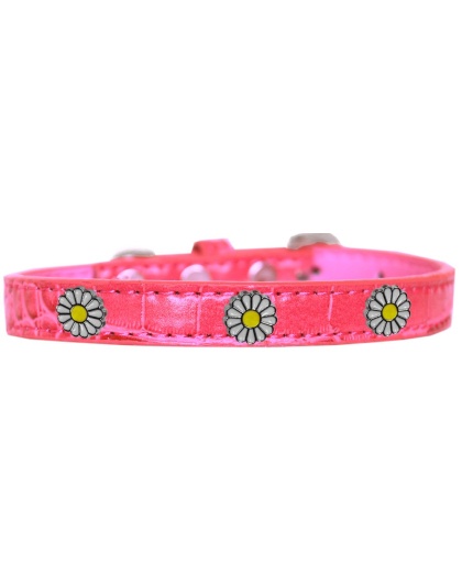 White Daisy Widget Croc Dog Collar Bright Pink Size 10