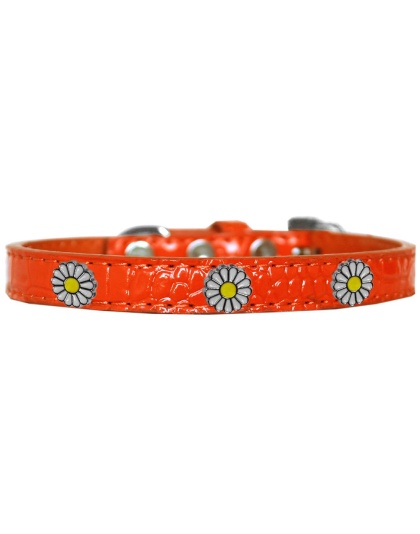 White Daisy Widget Croc Dog Collar Orange Size 10