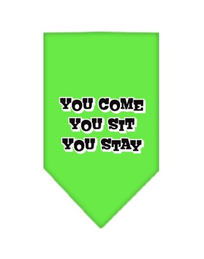 You Come, You Sit, You Stay Screen Print Bandana Lime Green Large