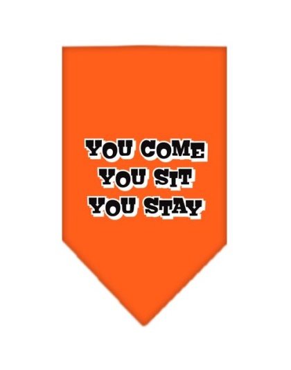 You Come, You Sit, You Stay Screen Print Bandana Orange Large