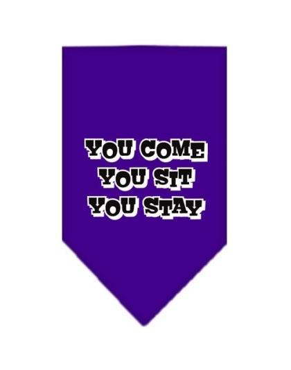 You Come, You Sit, You Stay Screen Print Bandana Purple Large