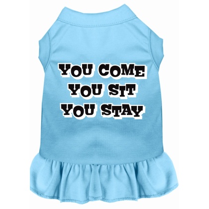 You Come, You Sit, You Stay Screen Print Dress Baby Blue 4X (22)