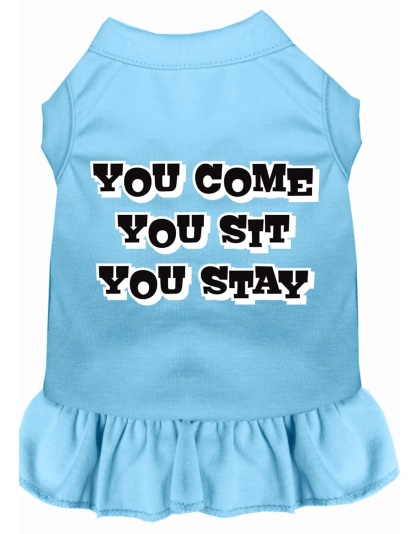 You Come, You Sit, You Stay Screen Print Dress Baby Blue 4X (22)