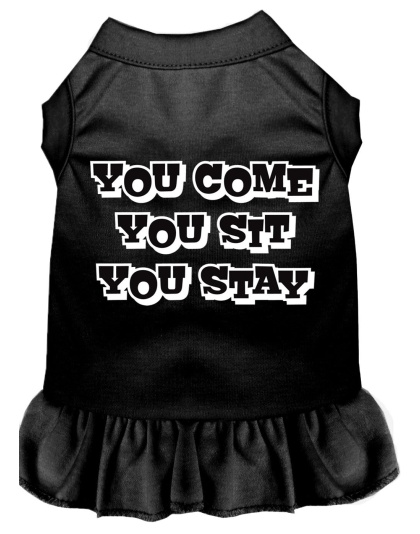 You Come, You Sit, You Stay Screen Print Dress Black 4X (22)