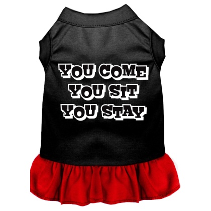 You Come, You Sit, You Stay Screen Print Dress Black with Red Lg