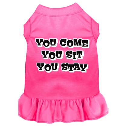 You Come, You Sit, You Stay Screen Print Dress Bright Pink 4X (22)